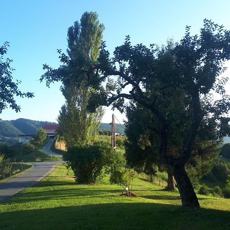 Maxl Βίλα Maltschach Εξωτερικό φωτογραφία