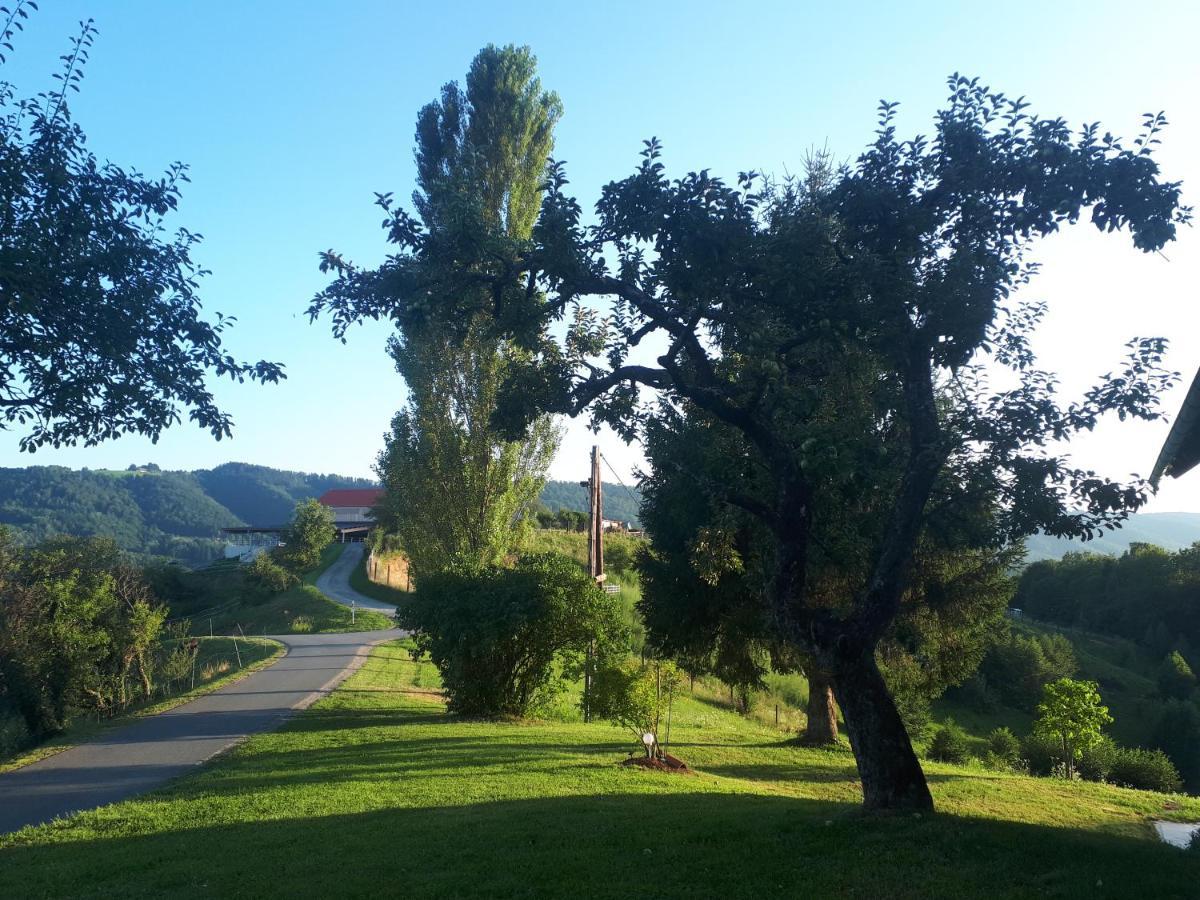Maxl Βίλα Maltschach Εξωτερικό φωτογραφία